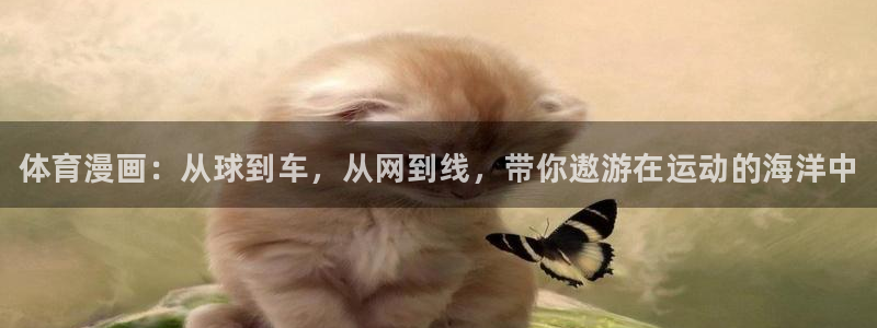 J9官方正版app集团官网首页