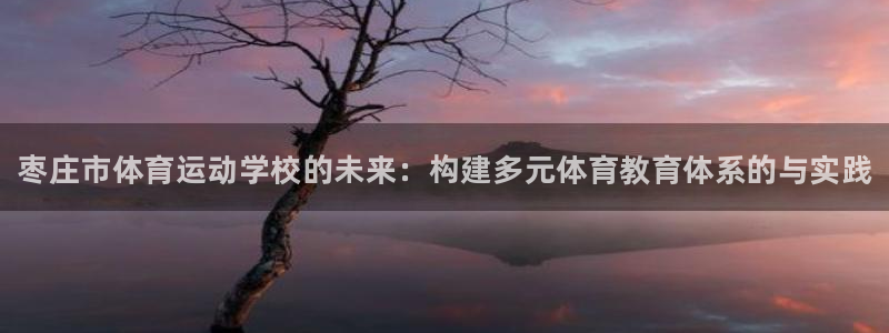 J9官网下载招商电话地址是多少：枣庄市体育运动学校的
