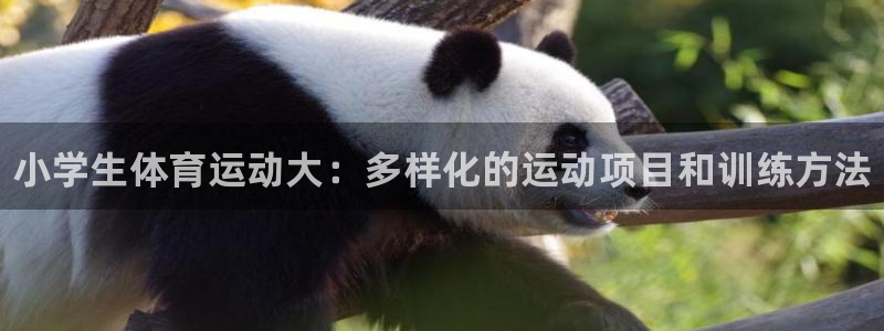 J9官网下载软件：小学生体育运动大：多样化的运动项目