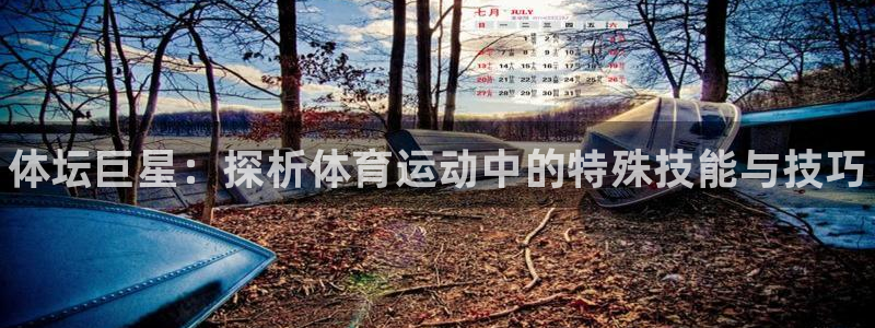 J9官网下载平台注册要钱吗安全吗：体坛巨星：探析体育
