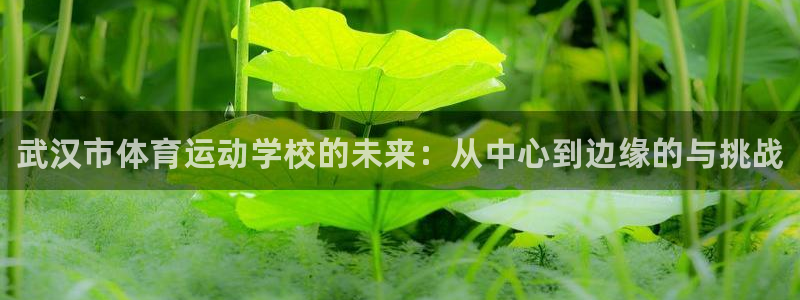 J9官方正版app娱乐代理怎么样：武汉市体育运动学校的未来：