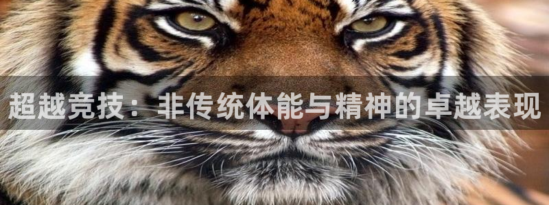 J9官网下载开户：超越竞技：非传统体能与精神的卓越表现