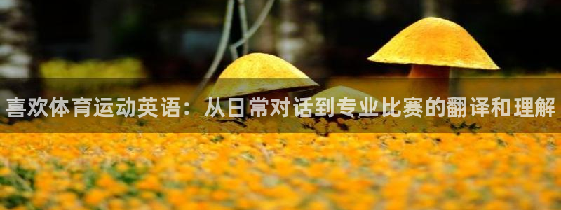 J9官方集团官网：喜欢体育运动英语：从日常对话到专业