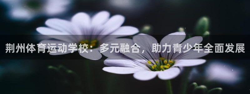 J9官网下载平台：荆州体育运动学校：多元融合，助力青