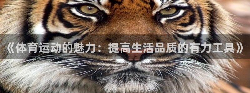 J9官方正版app娱乐是那个系列的台子