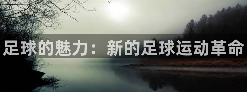 注册J9官方正版app：足球的魅力：新的足球运动革命
