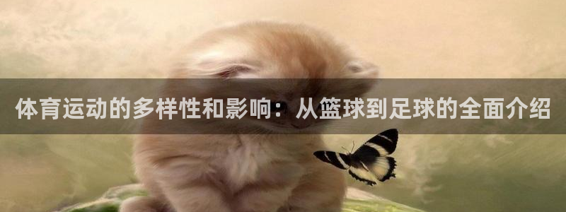 J9官方正版app娱乐代理怎么样