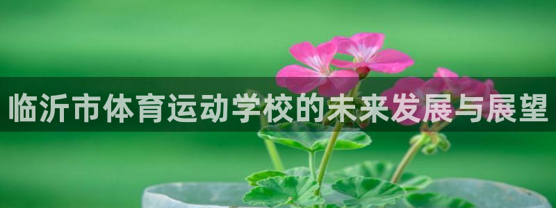 J9官网下载平台注册流程图：临沂市体育运动学校的未来