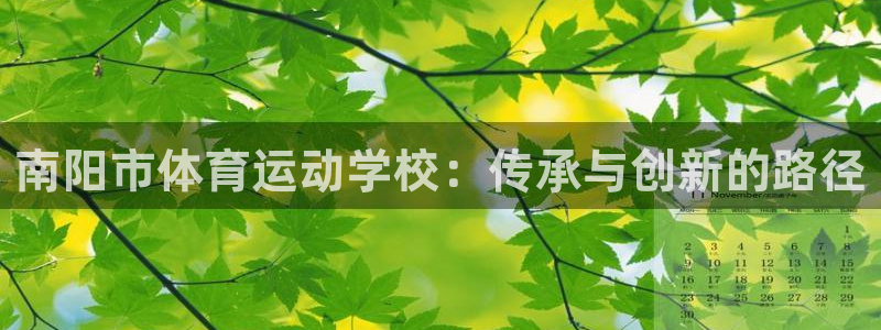 J9官方平台体育：南阳市体育运动学校：传承与创新的路径