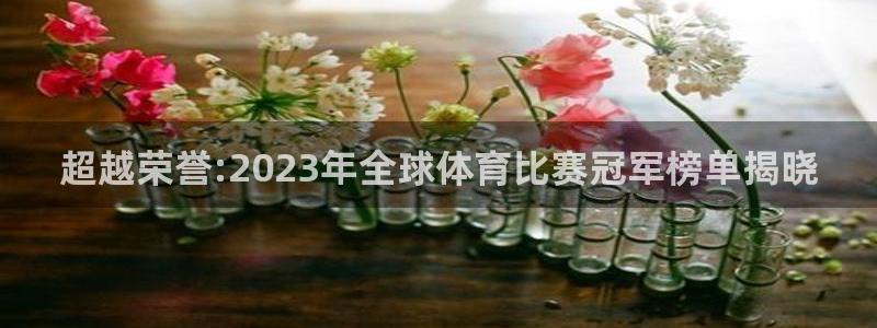 J9官方正版app五金厂：超越荣誉:2023年全球体育比赛冠