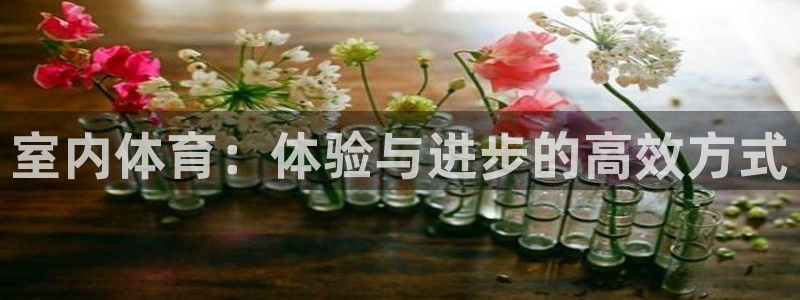 J9官方正版app娱乐网站：室内体育：体验与进步的高效方式