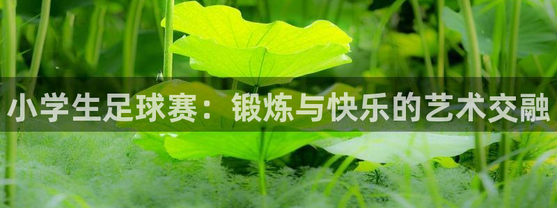 J9官网下载平台注册：小学生足球赛：锻炼与快乐的艺术