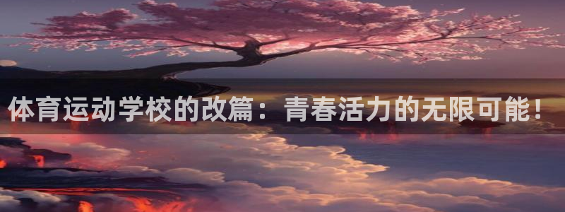 J9官方正版app代理：体育运动学校的改篇：青春活力