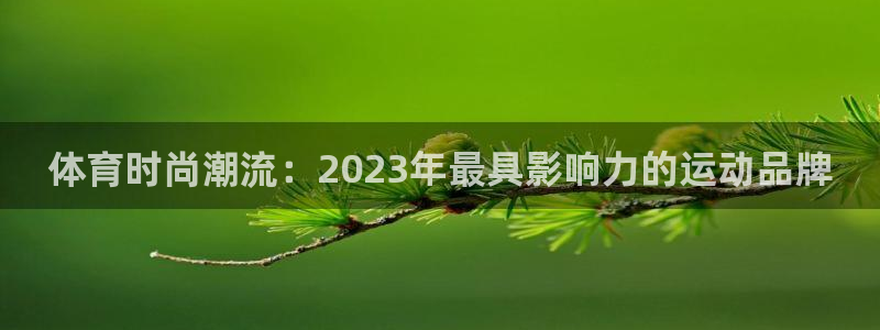 J9官方正版app五金厂：体育时尚潮流：2023年最