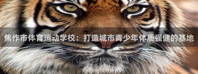 J9官网下载平台注册流程视频：焦作市体育运动学校：打造城市青