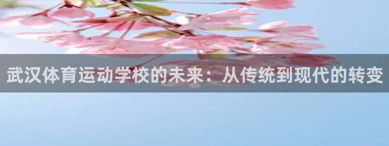 J9官方正版app娱乐网站：武汉体育运动学校的未来：从传统到