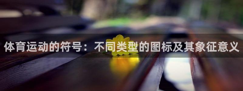 J9官方正版app集团E.ON：体育运动的符号：不同类型的图