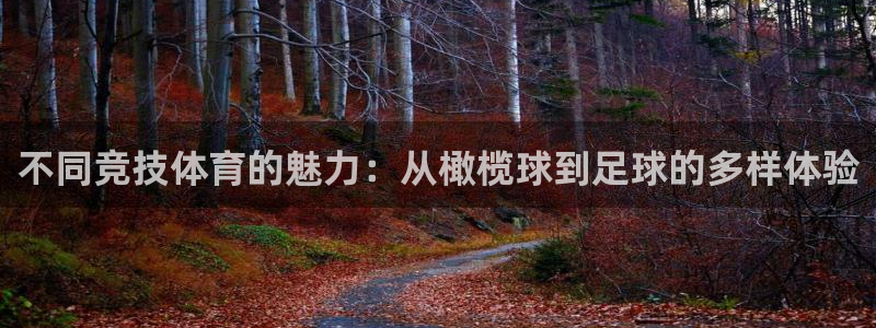 J9官网下载平台假的吗是真的吗：不同竞技体育的魅力：