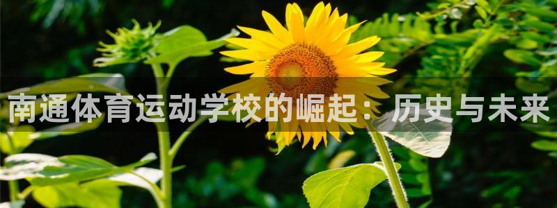 J9官网下载平台是正规平台吗：南通体育运动学校的崛起