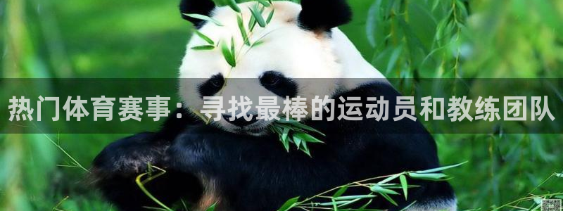 J9官方正版app官方：热门体育赛事：寻找最棒的运动