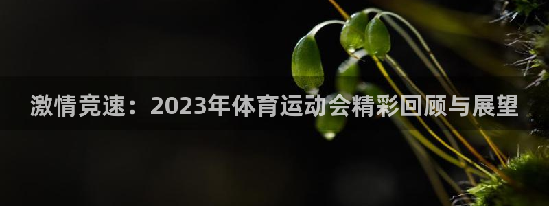 J9官网下载平台是正规平台吗：激情竞速：2023年体育运动会