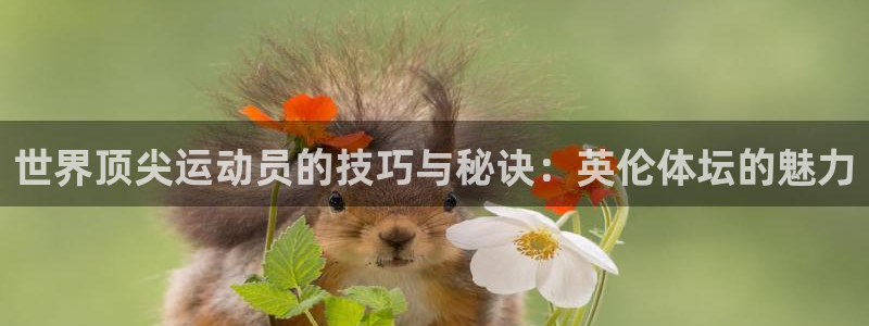 J9官方正版app集团官网网址：世界顶尖运动员的技巧