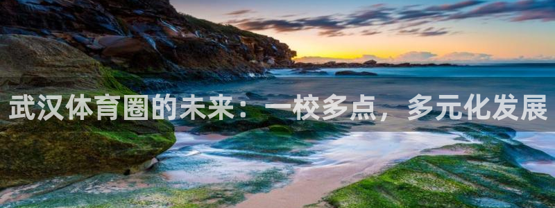 J9官网下载招商：武汉体育圈的未来：一校多点，多元化发展