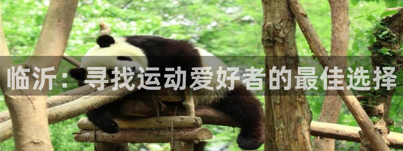 J9官方正版app集团简介：临沂：寻找运动爱好者的最佳选择