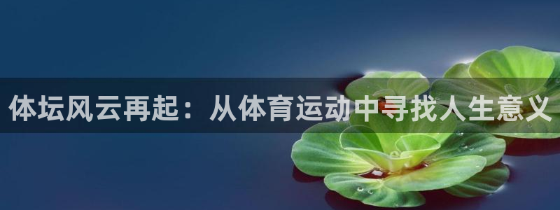 J9官方正版app集团简介：体坛风云再起：从体育运动中寻找人