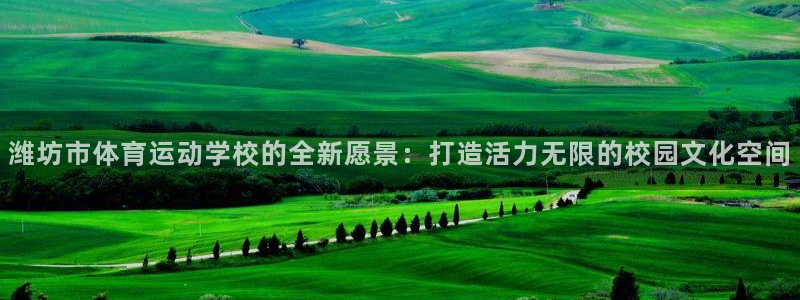 J9官方平台体育：潍坊市体育运动学校的全新愿景：打造活力无限