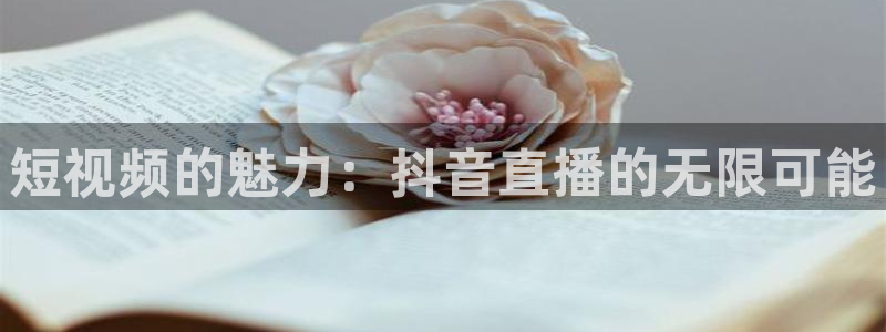 乐球体育在线直播高清